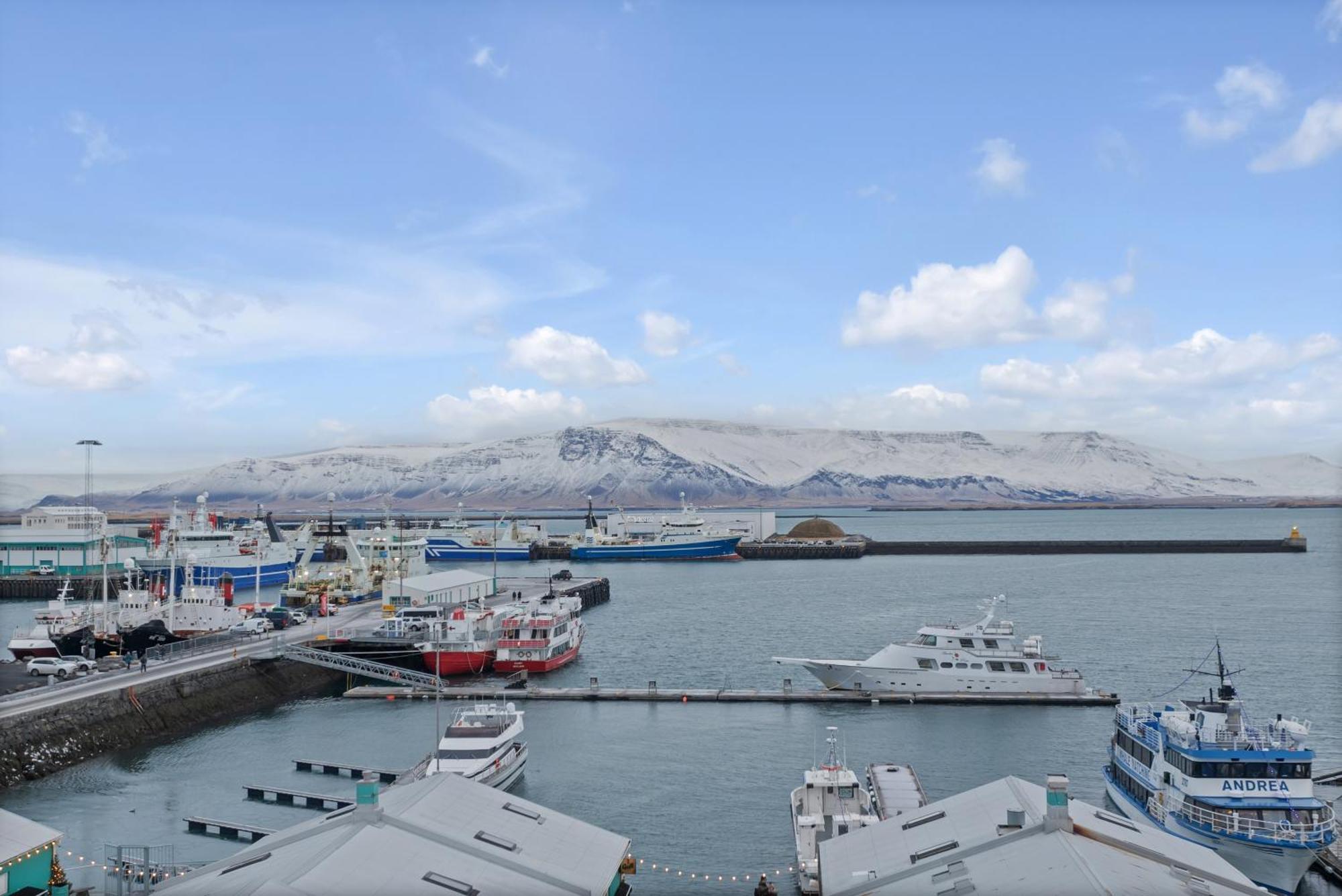 Cozy Apartment Downtown Reykjavík Dış mekan fotoğraf